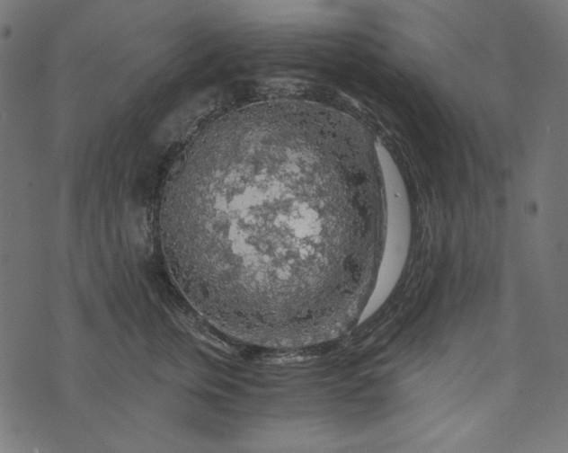 X0000073750759200608171331