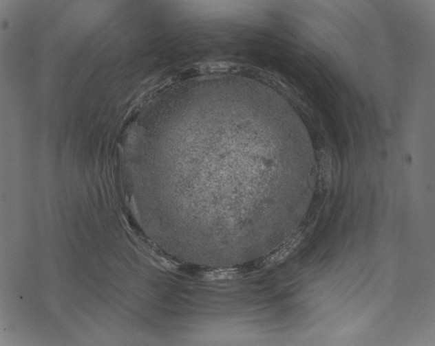 X0000073750761200608171331