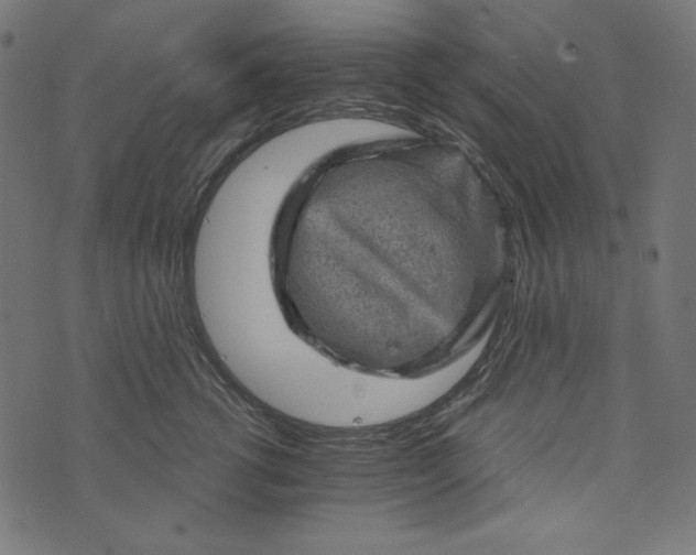 X0000073750762200608171331