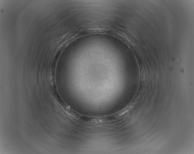 X0000073750764200608171331