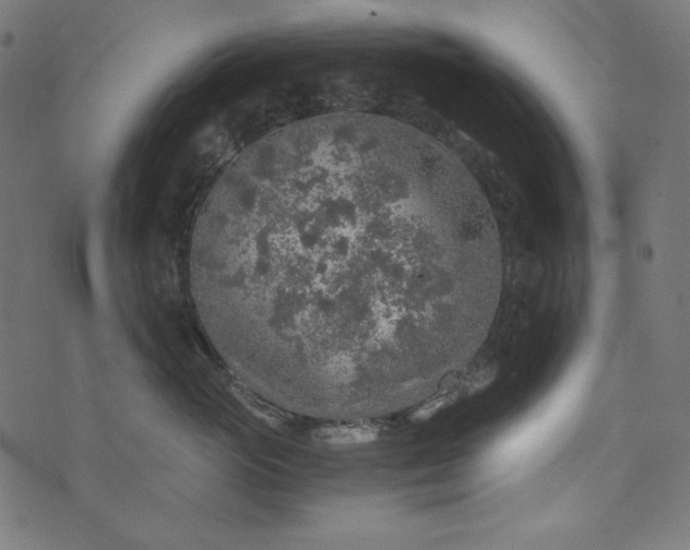 X0000073750765200608171331