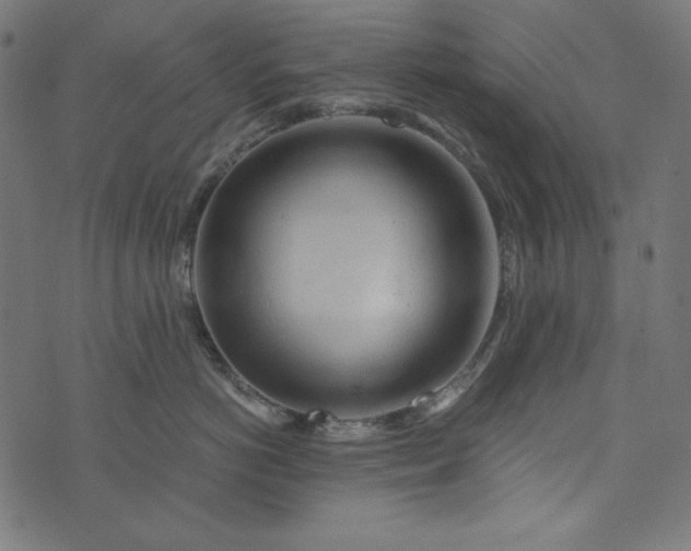 X0000073750766200608171331