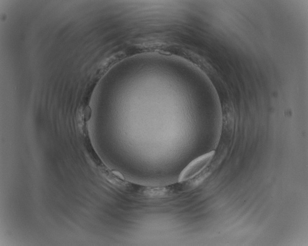 X0000073750767200608171331