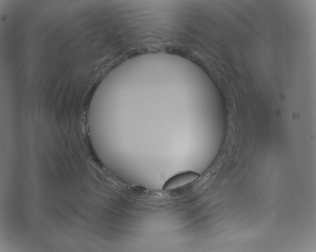 X0000073750768200608171331