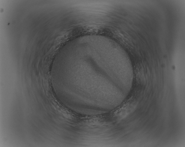 X0000073750769200608171330