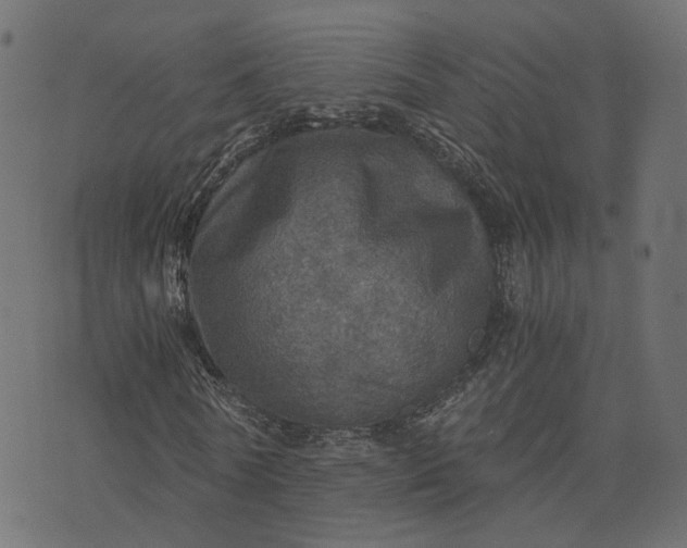 X0000073750770200608171330