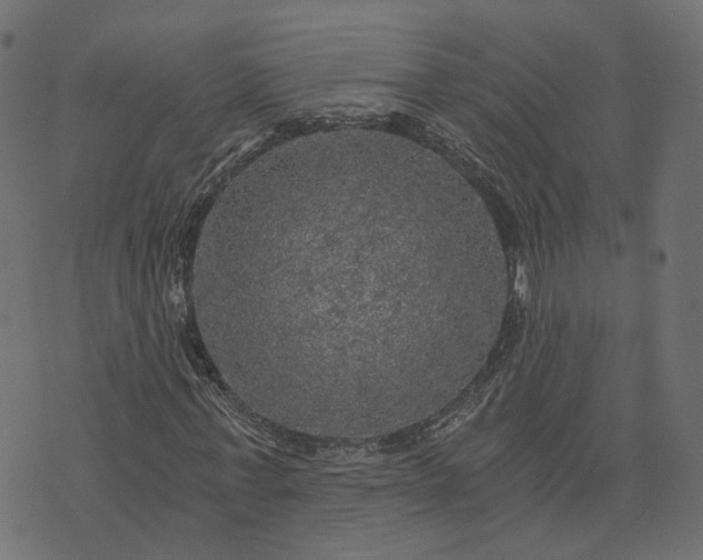 X0000073750771200608171330