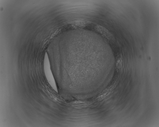 X0000073750772200608171330