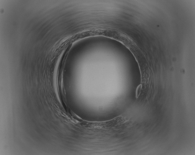 X0000073750773200608171330