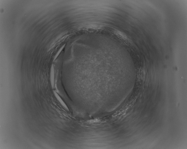 X0000073750774200608171330