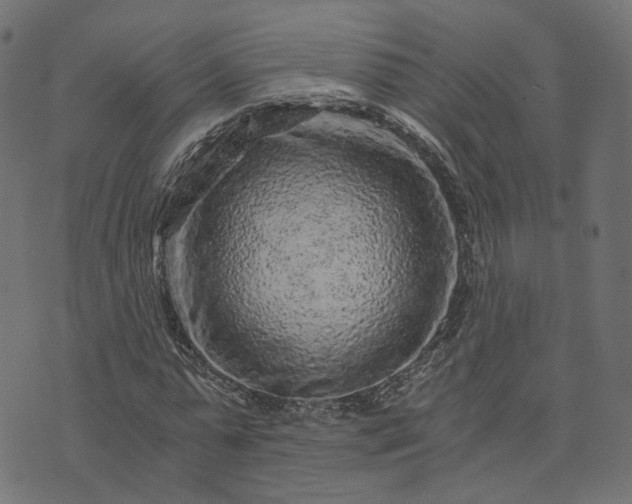 X0000073750775200608171330