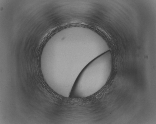 X0000073750776200608171330