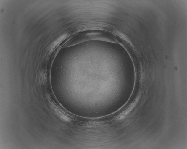 X0000073750777200608171330