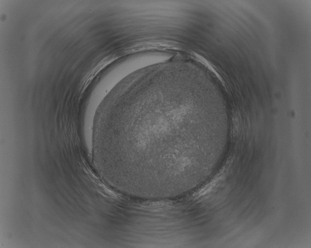 X0000073750778200608171330