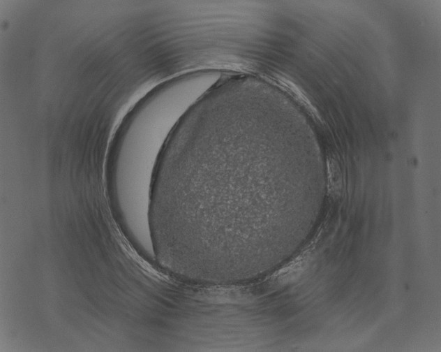 X0000073750780200608171330