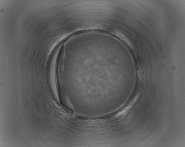 X0000073750781200608171330