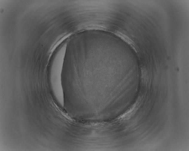 X0000073750782200608171330