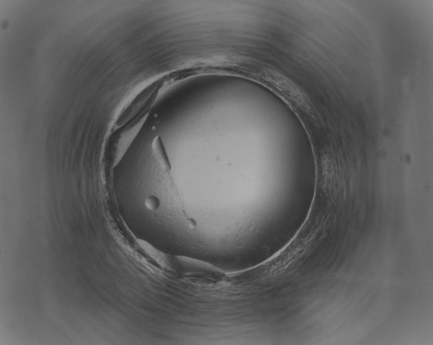 X0000073750784200608171330