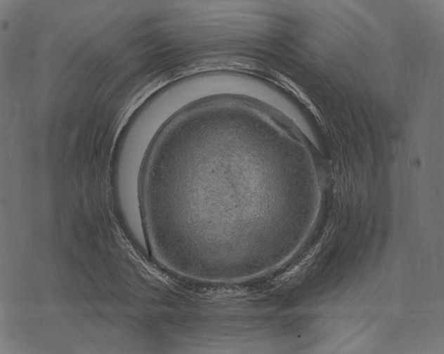 X0000073750786200608171330