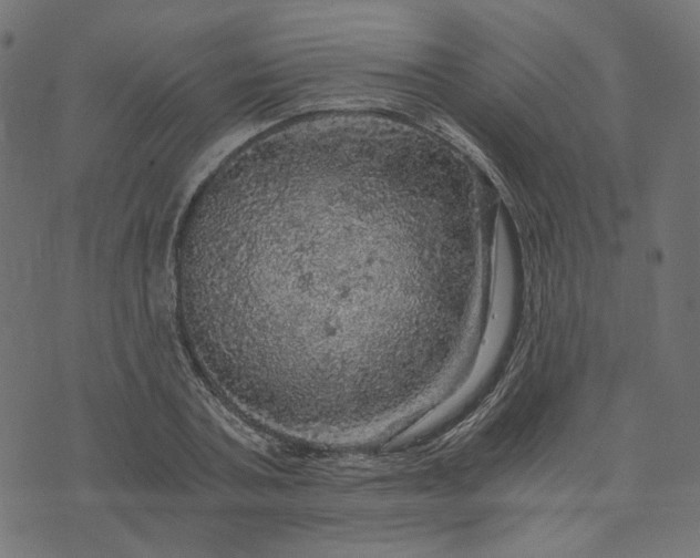 X0000073750787200608171330