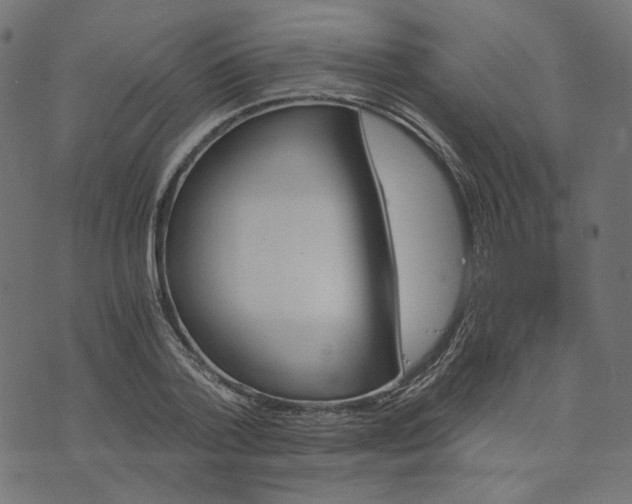 X0000073750788200608171330