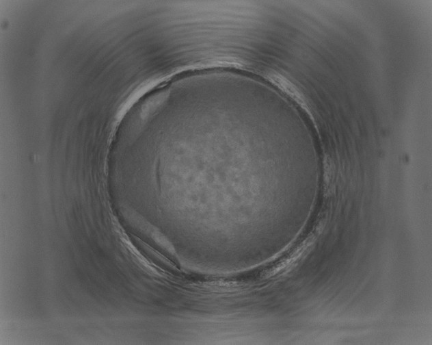 X0000073750789200608171330