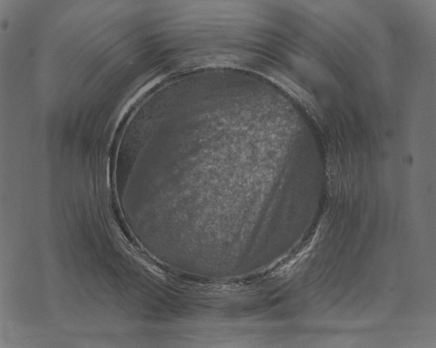 X0000073750790200608171330