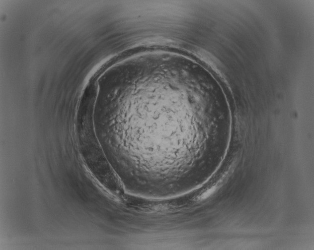 X0000073750791200608171330