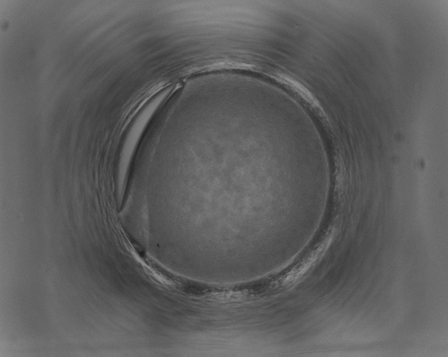 X0000073750793200608171330