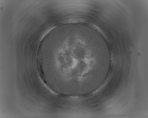 X0000073750794200608171330