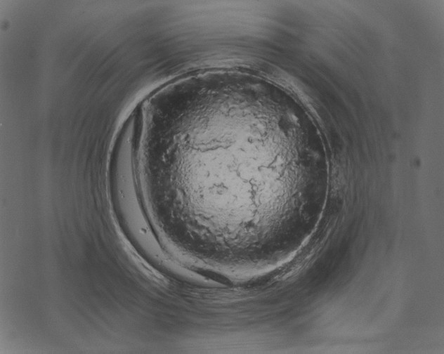 X0000073750795200608171330