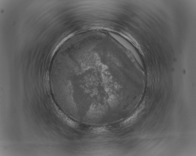 X0000073750798200608171330