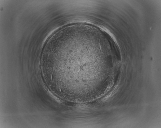 X0000073750799200608171330