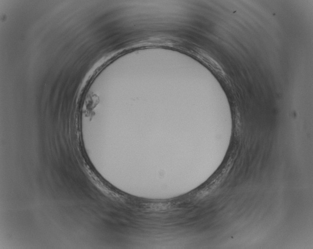 X0000073750800200608171330