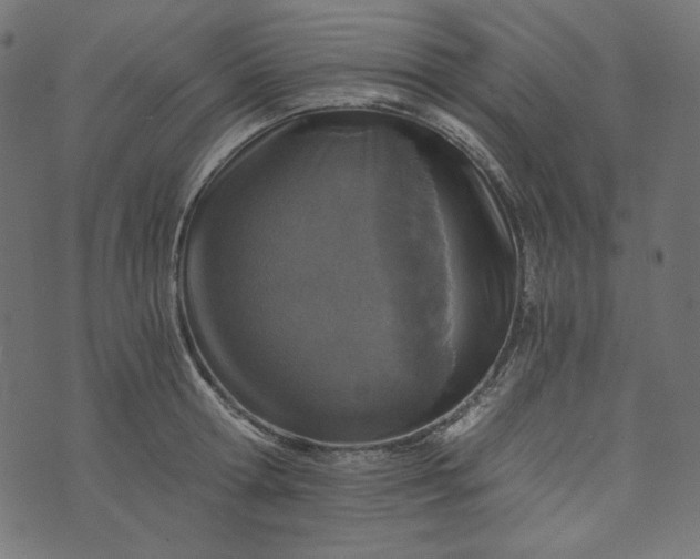 X0000073750802200608171330