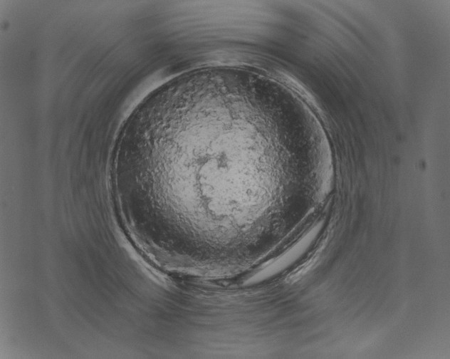 X0000073750803200608171330