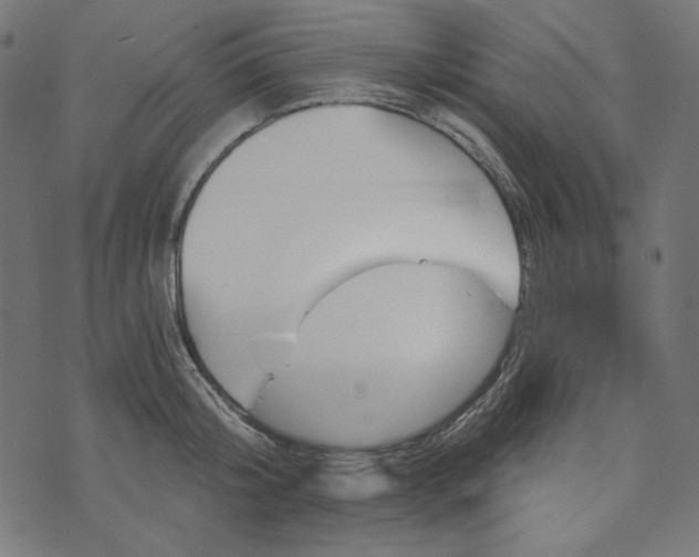 X0000073750804200608171330