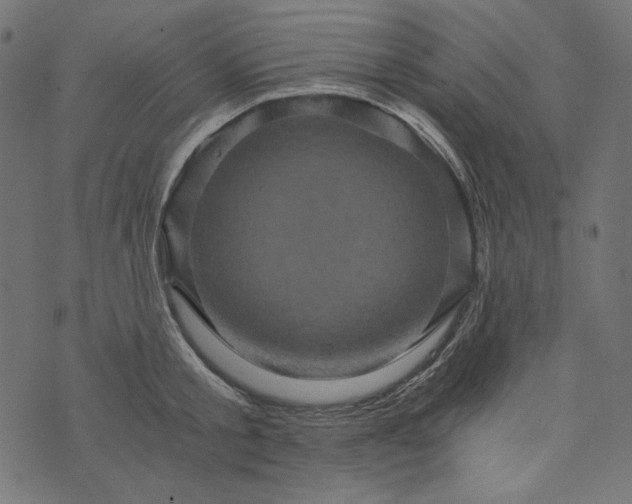 X0000073750805200608171330