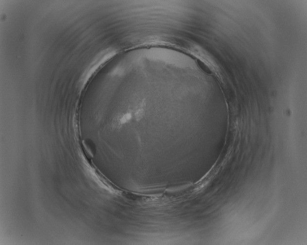 X0000073750806200608171330