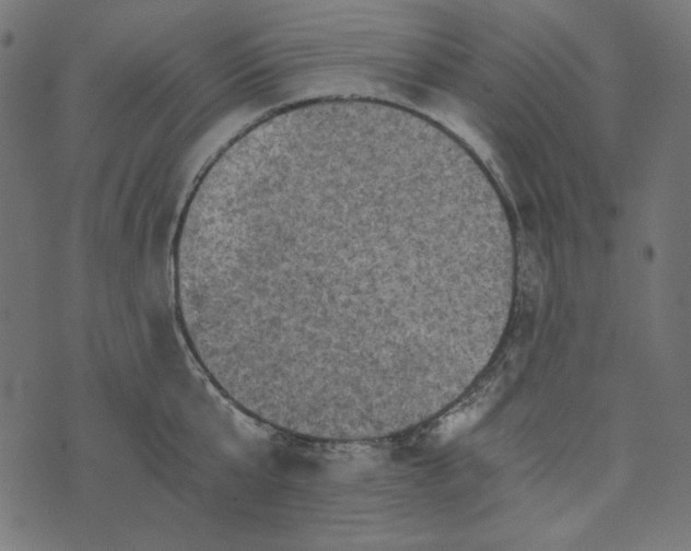 X0000073750807200608171330