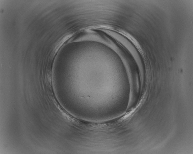 X0000073750809200608171330