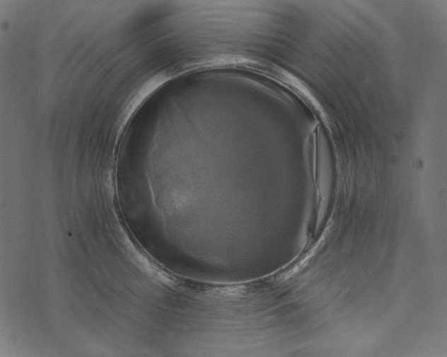 X0000073750810200608171330