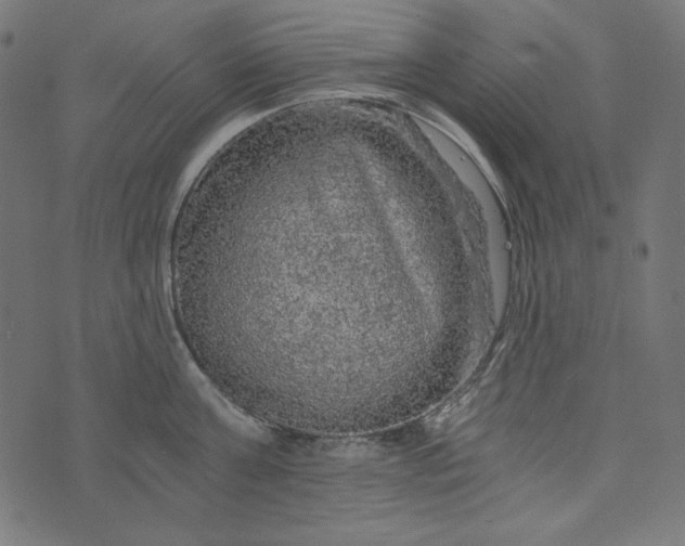 X0000073750811200608171330