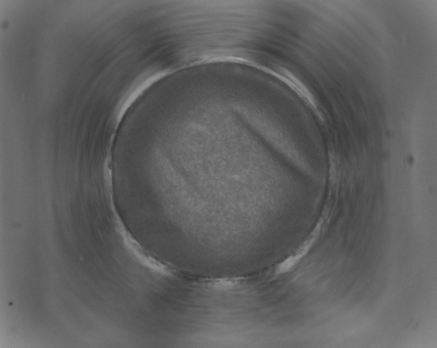 X0000073750814200608171329