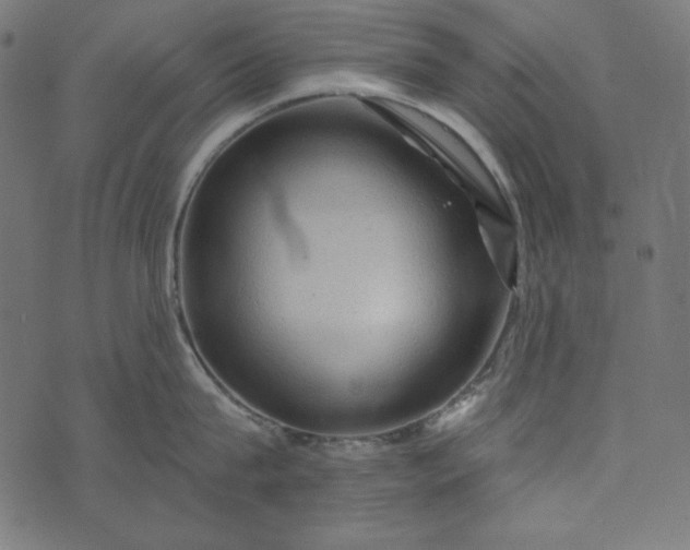 X0000073750815200608171329