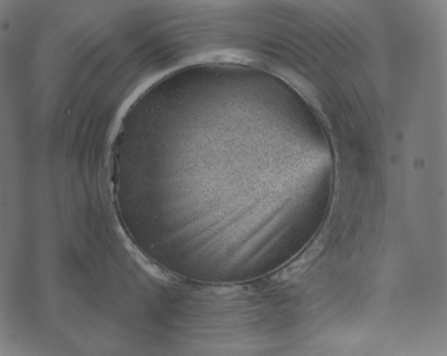 X0000073750816200608171329