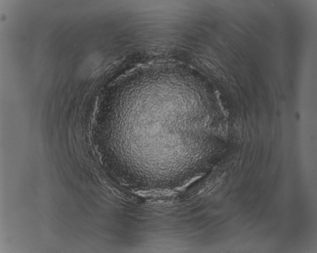 X0000073750817200608171329