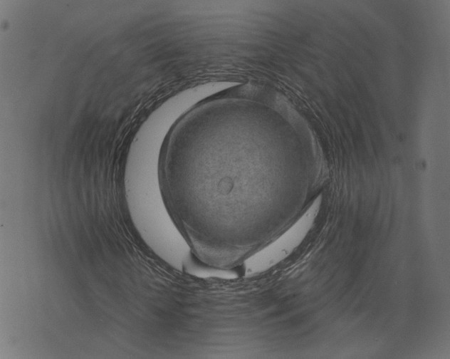 X0000073750818200608171329