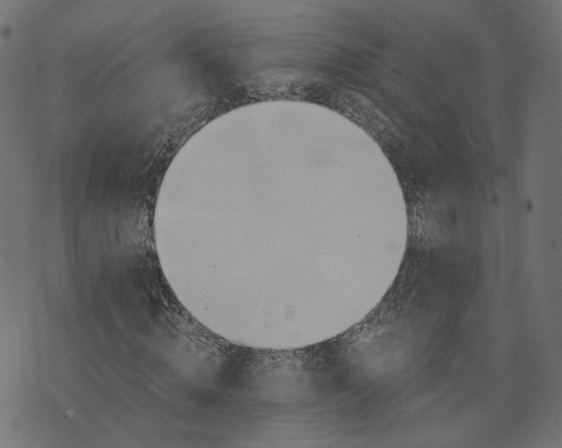 X0000073750820200608171329