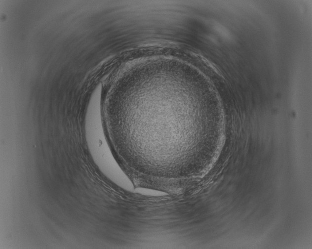 X0000073750821200608171329